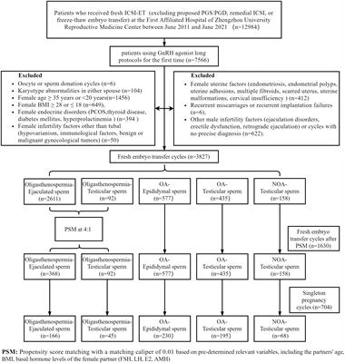 Comparing the clinical and singleton neonatal outcomes in male infertility patients with Oligoasthenospermia, OA, or NOA following fresh ICSI-ET using different sources of sperm